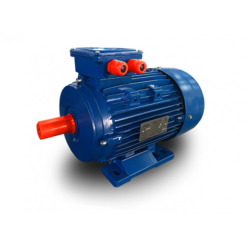 Электродвигатель АИР 100 L4 IM 2081 (4/1500)